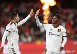 爱游戏体育入口-勒沃库森围绕国王杯主帅复盘布莱顿回应争议备战德甲，曼联回应争议备战欧冠看傻球迷 